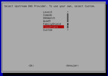 s�lection du serveur DNS